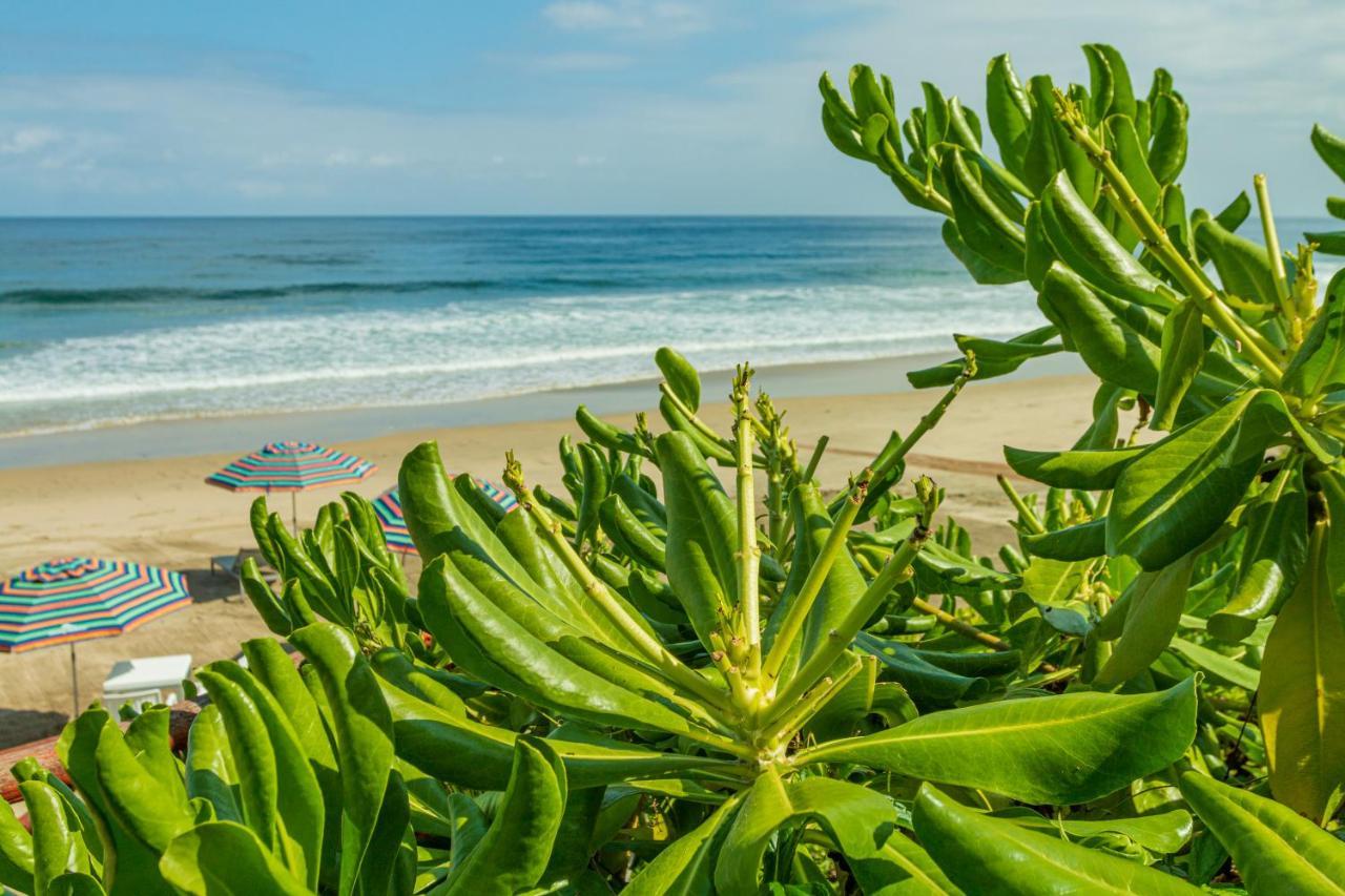 Marsai Hotel Boutique (Adults Only) Punta Mita Εξωτερικό φωτογραφία